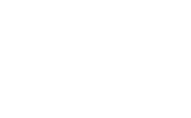 capasystems logo